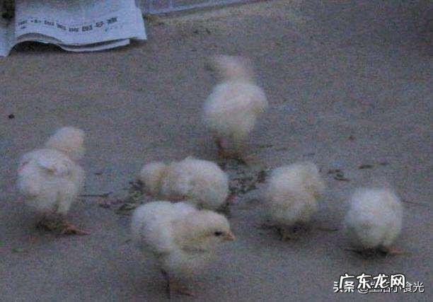 每天吃一勺蜂蜜有什么好处 每天吃些葡萄干对身体有什么好处？