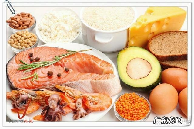 减脂和增肌期,应该如何选择摄取各自的蛋白质量呢?