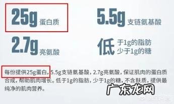 减脂和增肌期,应该如何选择摄取各自的蛋白质量呢?