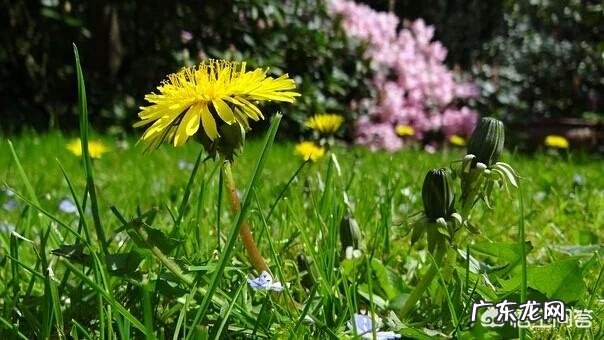 宝妈产后如何快速减肥 产后宝妈如何在半年内减肥40斤？