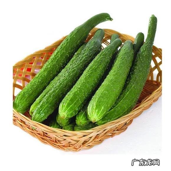 夏天吃黄瓜能清热解毒,能减肥,你知道吗你知道是什么原因吗