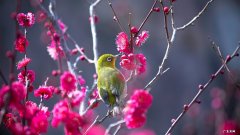 早上与晚上哪个时间快走对减肥好