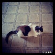 减肥后总是失眠多梦是什么原因？