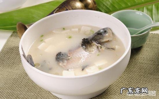 肝不好在生活中需要注意些什么？