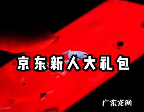 京东新用户有什么优惠?新人礼包不能领有哪些原因?