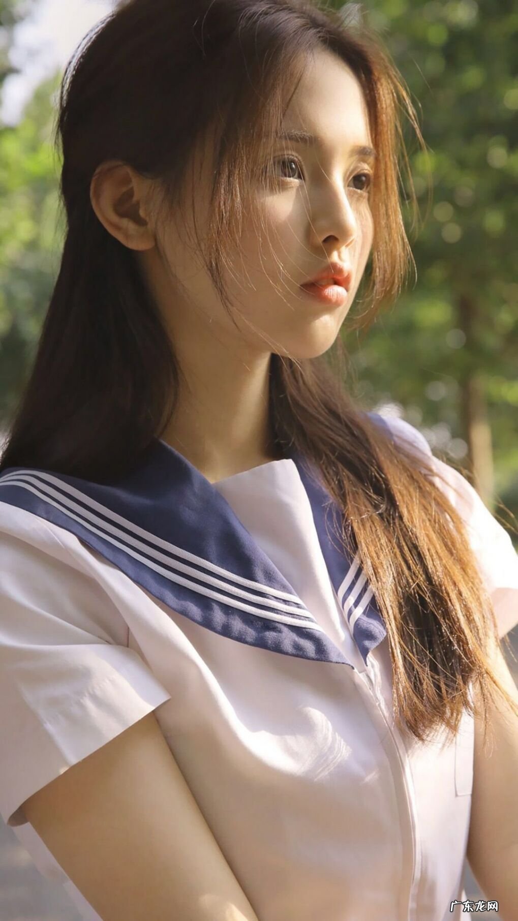 外壳金黄色胶囊是什么牌子的减肥药