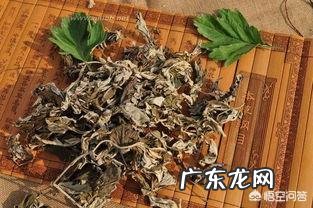 能每天用艾叶泡脚吗,需要注意什么?