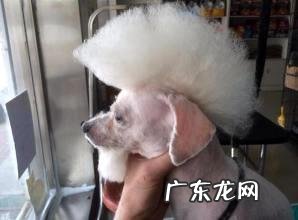 狂犬病的潜伏期是多久,一般有什么症状?