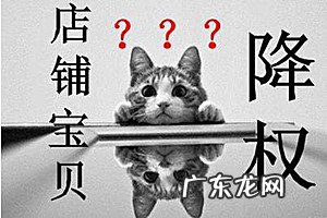 宝贝降权后该如何处理？有哪些预防降权的方法？