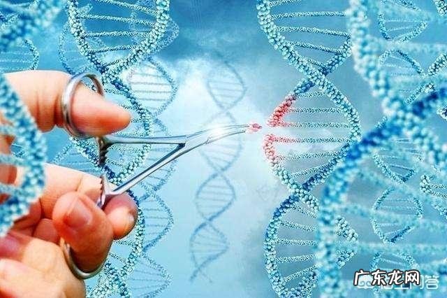 染色体异常能生小孩吗?对孩子有什么影响?