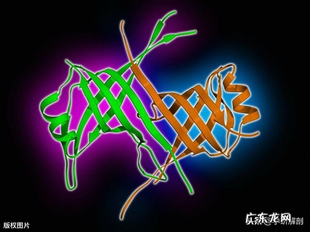 细胞分裂时染色体的数量改变吗?