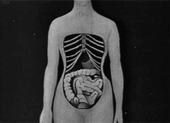 节食减肥的害处真的会很大吗？