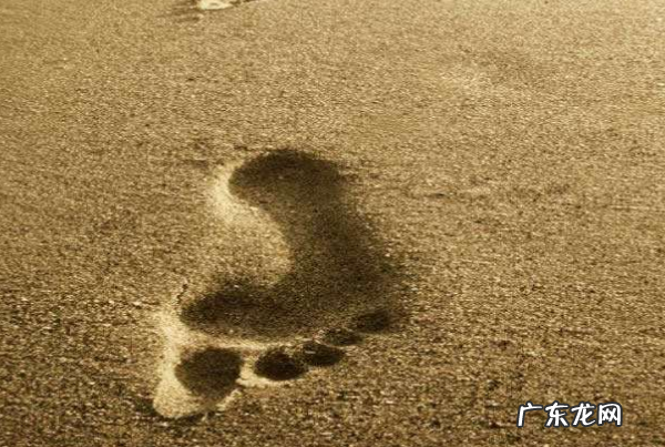 淘宝足迹在哪里？淘宝足迹怎么不显示了？