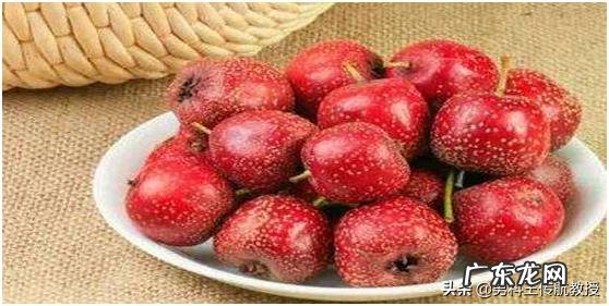 陈皮、大枣、山楂和丹参泡水喝有什么功效?