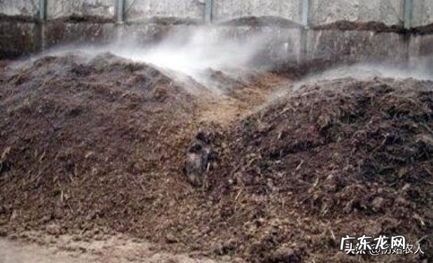 蘑菇应该怎么种？种植过程中有哪些注意事项？