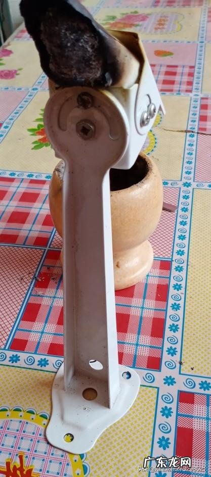 脖子短,有什么办法拉长? 拉伸脖颈的训练方法??