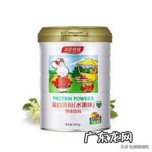 瘦子吃的蛋白粉有什么推荐?