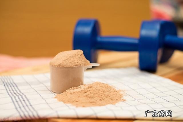 瘦子吃的蛋白粉有什么推荐?