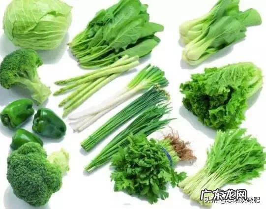 最近感觉胖了很多,想要瘦一点,在减脂期间能吃的东西是什么呢?