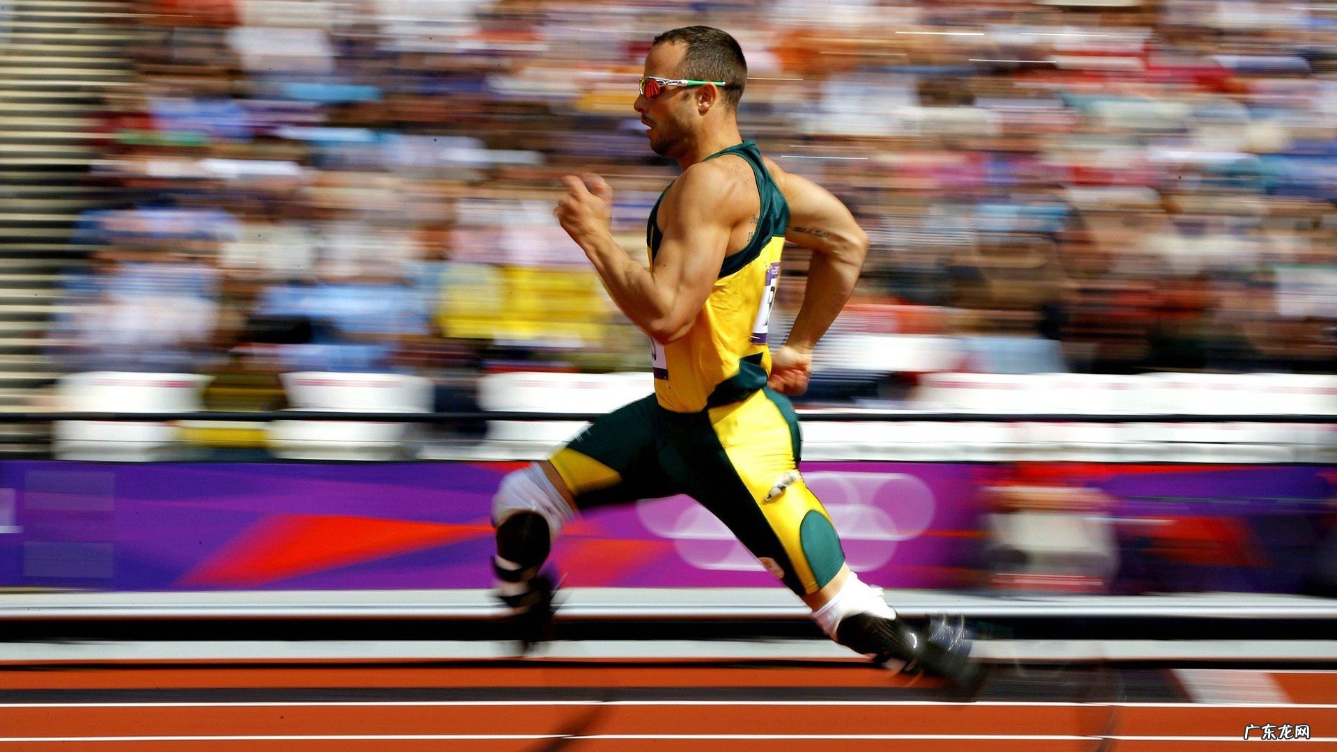 如何培养幼儿的生活行为习惯 案例