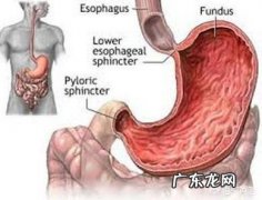 你身边胃癌的人活了多久？