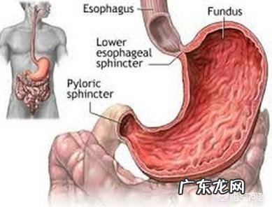 你身边胃癌的人活了多久？