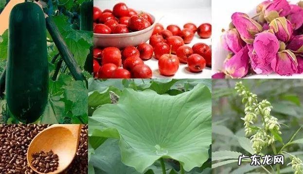 天天运动,节食,但就是还没有瘦下来?