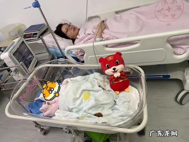 虎年出生的宝宝生日快乐-虎年大官出生日子