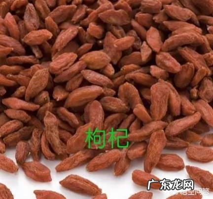 黄芪能不能跟苦瓜一起泡水喝 苦瓜能与黄芪枸杞生地一起泡水喝吗？