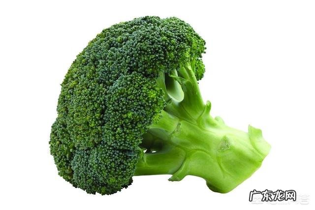 排骨红萝卜玉米天麻香菇白菜西兰花能一起煮吗?