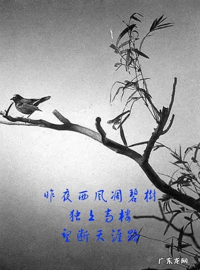 如何区分自己是实胖or虚胖