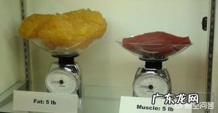 为什么明明运动成功减了好几斤体重，又胖回了两斤？