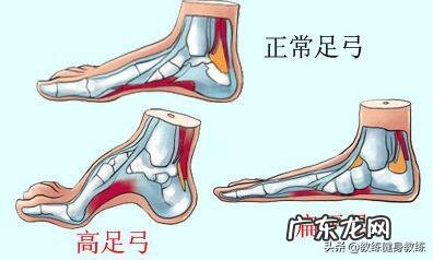 LEBODY 乐芭迪瘦身仪有人了解吗?肌肉腿可以用吗?