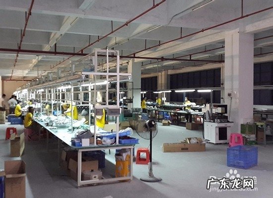 40个种植骗局 大棚种植什么最赚钱不愁销路