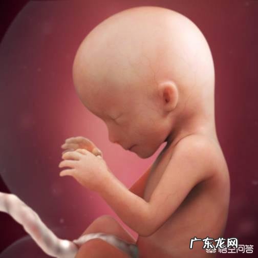 怀孕四个月的宝宝是什么样子的?