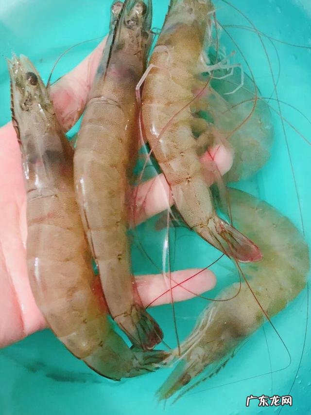 猪肉虾泥西蓝花丸子怎么做？