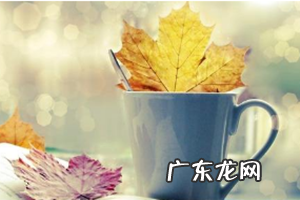 淘宝店铺装修有哪些方法？哪一种更好？