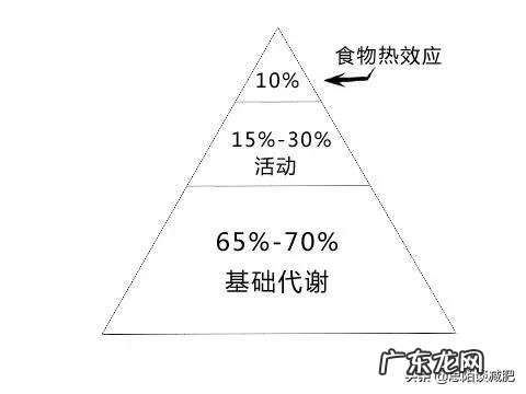 每天跳绳30分钟可以减肥吗？一个月能瘦几斤吗？