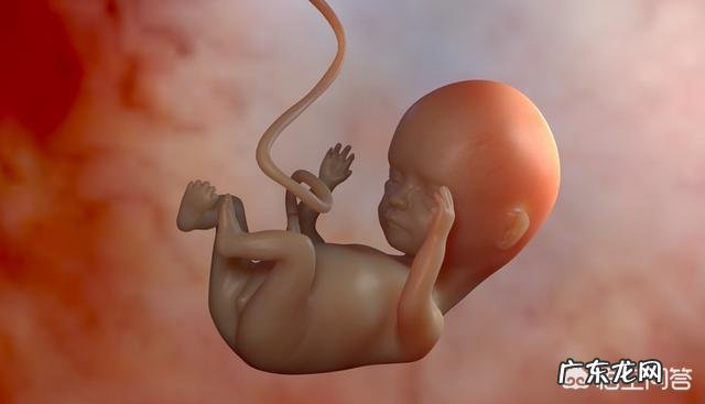 怀孕4个月,一般胖多少斤是正常的