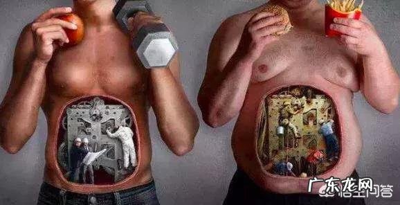 大肚子是属于油脂特别多吗?有没有健康的瘦大肚子方法?