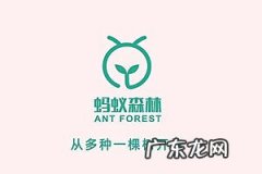 蚂蚁森林15g是什么能量？如何做能产生蚂蚁森林能量？
