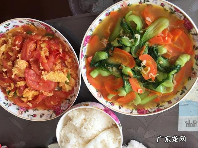 早餐吃好，午餐吃饱，晚餐吃少，晚上不吃饭光吃水果营养健康吗