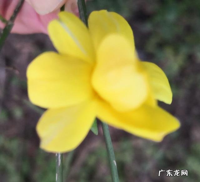 BMI值只有19.9,为什么看起来还特别胖