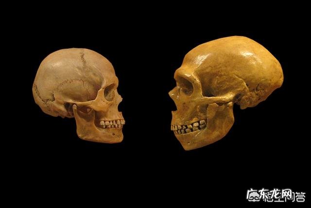 我们身体中的尼安德特人基因给我们带来了什么影响？