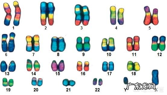 我们身体中的尼安德特人基因给我们带来了什么影响？