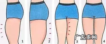 为什么体重没有变,但腿变粗了?