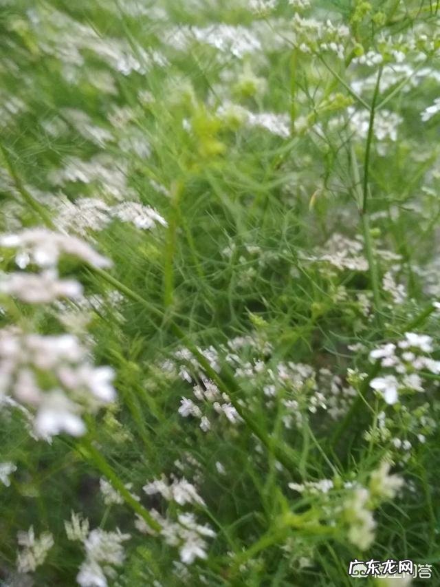 婚姻生活中,有哪些时刻让你有过不下去了的想法?