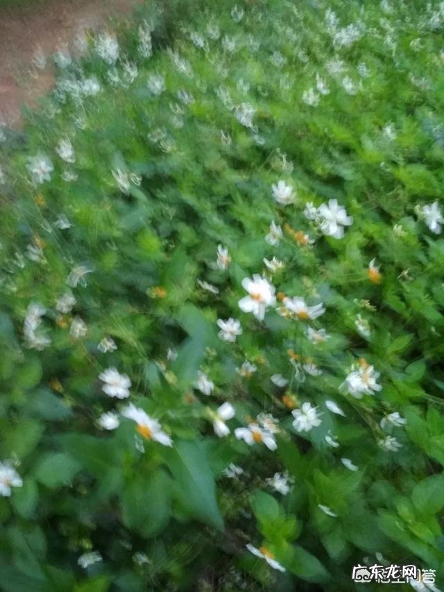 婚姻生活中,有哪些时刻让你有过不下去了的想法?