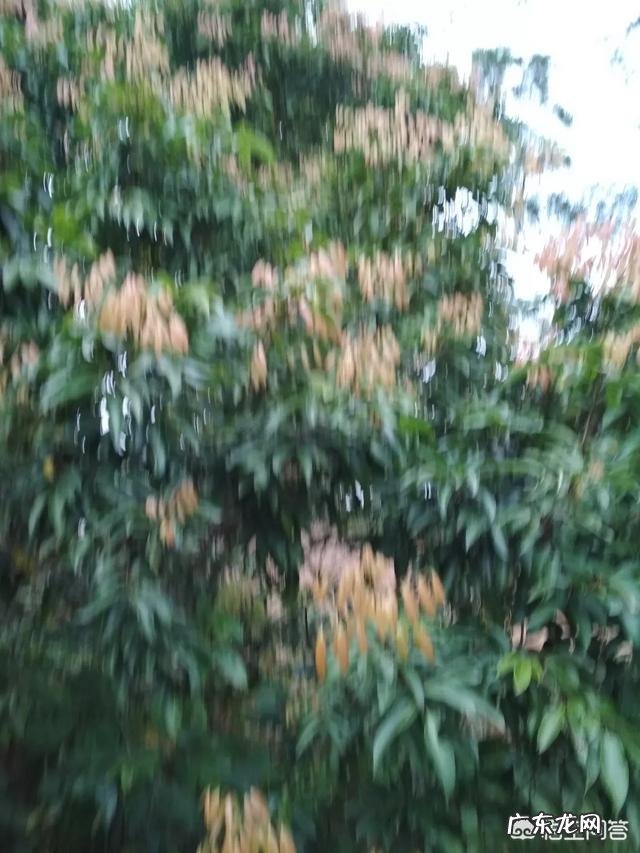 婚姻生活中,有哪些时刻让你有过不下去了的想法?