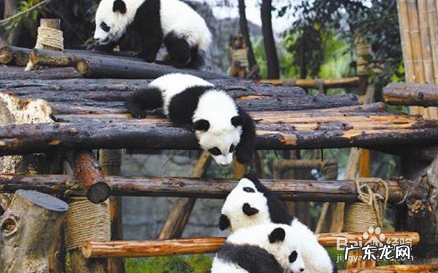 目前口碑最好的电视机 电视品牌排行榜前十名